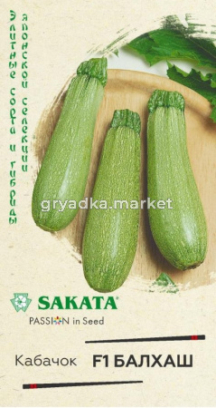 Кабачок Балхаш F1 5шт Ранн (Гавриш) Саката Голландия Н22