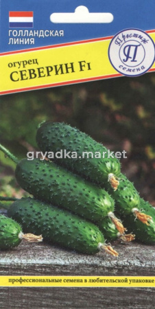 Огурец Северин F1 3шт (Престиж)