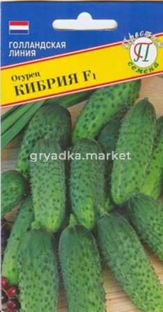 Огурец Кибрия F1 7шт. Престиж