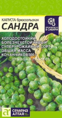 Капуста Брюссельская Сандра 0,5г (Сем Алт)