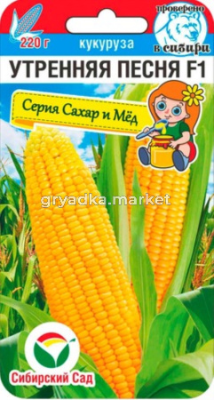Кукуруза Утренняя песня F1 6шт сахарная Ср (Сиб сад)