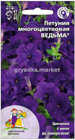 Скриншот 18-08-2026 094406