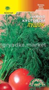 Укроп Пушок  Цвет сад