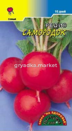 Редис Самородок (16 дней) 2г.Цвет.сад.