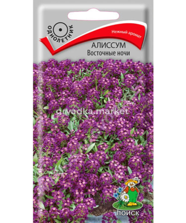 Алиссум Восточные ночи 0,3 г Поиск