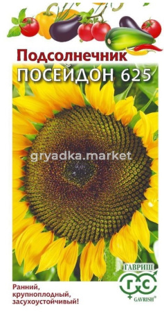 Подсолнечник Посейдон 625 (тип Лакомка) 10г Ранн (Гавриш) Н24