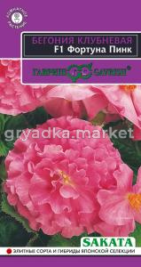 Бегония Фортуна Пинк F1 клубневая махровая Комн 4шт (Гавриш) Эксклюзив