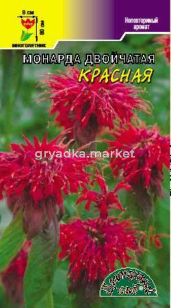 Монарда Красная двойчатая 0.01г Мн (Цвет сад)