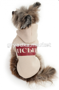 Скриншот 04.12.25_14.49.48