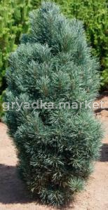 Скриншот 21-04-2026 114819