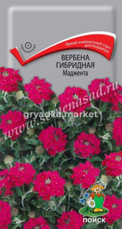 Вербена Маджента гибридная 0,1г Одн 20см (Поиск)