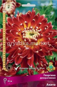 Георгина декоративная Акита (ярко-красный с оранжево-жёлтым центром, диаметр цветка 20см,1шт, I)