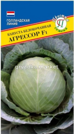 Капуста б-к Агрессор F1 15шт. Престиж