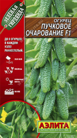 Огурец Пучковое очарование 10шт Парт Ранн (Аэлита) Зеленая гирлянда