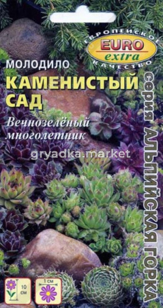 Молодило Каменистый сад, смесь Аэлита (д-цв.ковров)