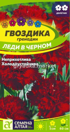 Гвоздика Леди в черном 0.1г (Сем Алт)