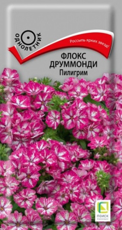 Флокс Пилигрим друммонди 0,1гр (Поиск)