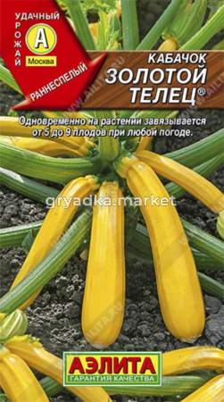 Кабачок Золотой телец Цуккини 2гр.Аэлита