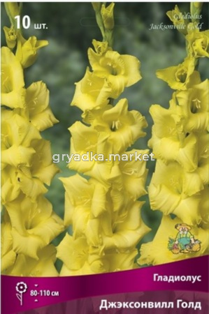 Гладиолус Джексонвилл Голд 10шт 10-12