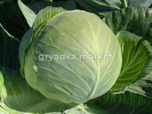 Капуста б-к Бригадир F1 10шт (Престиж)