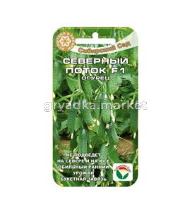 Огурец Северный поток F1 7шт Парт Ранн (Сиб сад)