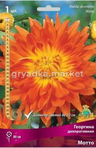 Георгина Мотто 1шт.