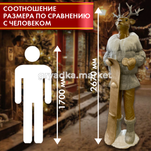 оленьсоотношение