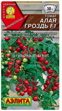 Скриншот 29-06-2026 104815
