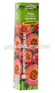Скриншот 27-03-2025 143245-Photoroom