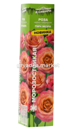 Скриншот 27-03-2025 143245-Photoroom