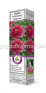 Пион древовидный Райзинг сан