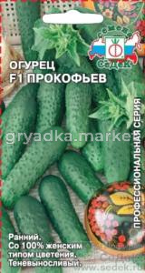 Огурец Прокофьев F1 -ранн.со 100% женск.типом цвет.(Седек)