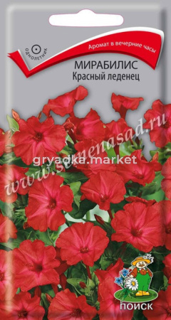 Мирабилис Красный леденец 1г Поиск
