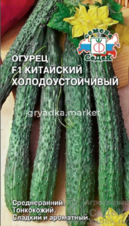 Огурец Китайский Холодоустойчивый F1 0,2г.(Седек)