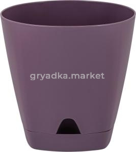 Амстердам с поддоном 2,5л d17 с НИЖНИМ ПОЛИВОМ морозная слива-10 ПлР