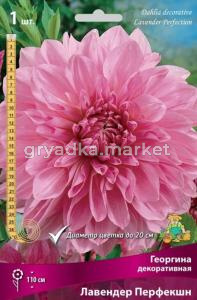 Георгина декоративная Лавендер Перфекшн (розово-лиловый, диаметр цветка 20см, 1шт, I)