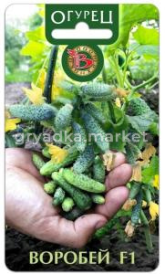 Огурец Воробей 10шт Пч Ранн (Биотехника)
