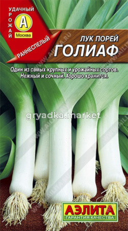 Лук порей Голиаф Аэлита