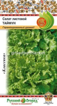 Салат Тайфун листовой 1г Ср (НК)