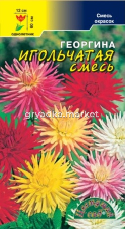 Георгина Игольчатая смесь Цвет.Сад