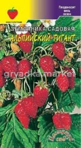 Земляника Альпийский гигант Цвет.сад.