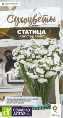 Статица Хипстер Вайт 5 шт Одн 60см (Сем Алт) Сухоцветы
