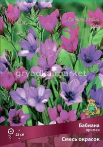 Бабиана прямая смесь окрасок 5+-К 10шт