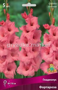 Скриншот 20-02-2025 143020