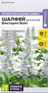 Шалфей Виктория Вайт мучнистый 10шт Одн 50см (Сем Алт)