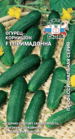 Огурец Примадонна F1 0,2г (Седек) Огурец Примадонна F1 0,2г (Седек)