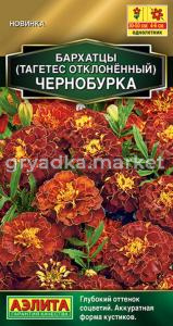 Бархатцы откл. Чернобурка 0,3г Одн 20см (Аэлита) 
