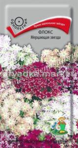 Флокс Мерцающая звезда 0,2г. Поиск
