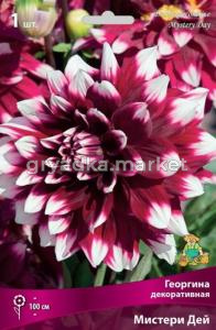 Георгина Мистери Дей 1шт.