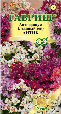 Антирринум (Львиный зев) Антик 7шт (Гавриш) Элитная клумба Н23